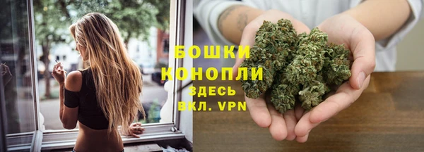 прущие грибы Заволжск