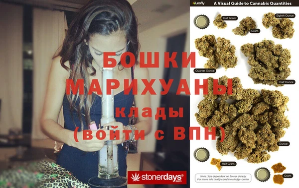 прущие грибы Заволжск