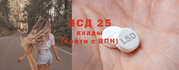 PSILOCYBIN Заводоуковск