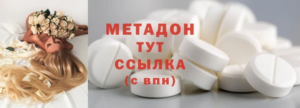 прущие грибы Заволжск