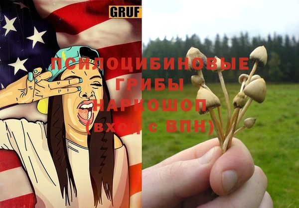 прущие грибы Заволжск