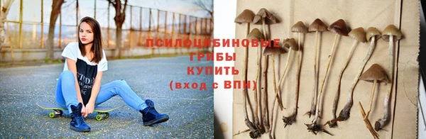 прущие грибы Заволжск