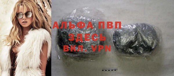 прущие грибы Заволжск