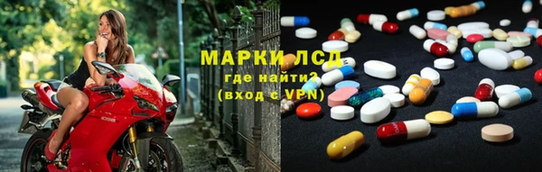 PSILOCYBIN Заводоуковск